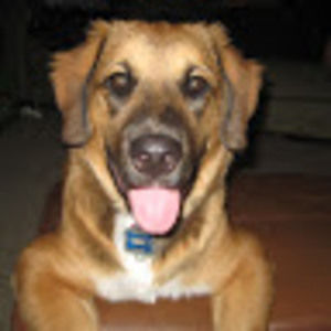 Meet your Posher, Wendy